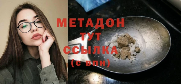 индика Арсеньев