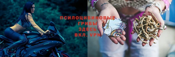 индика Арсеньев