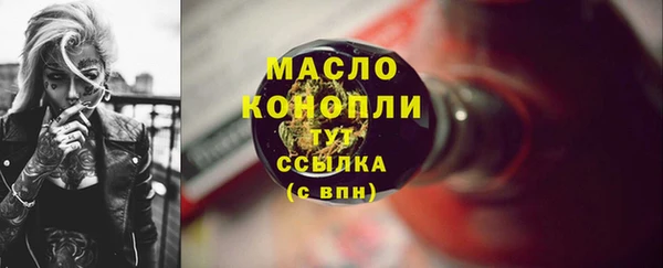 индика Арсеньев