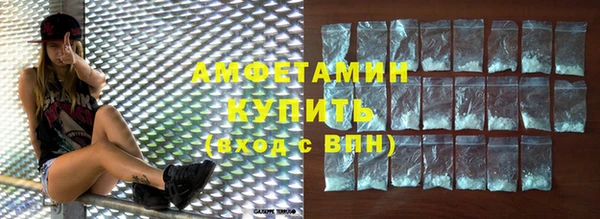 индика Арсеньев