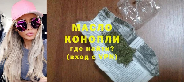 индика Арсеньев