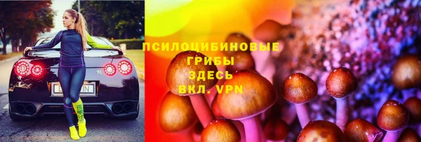 твердый Армянск